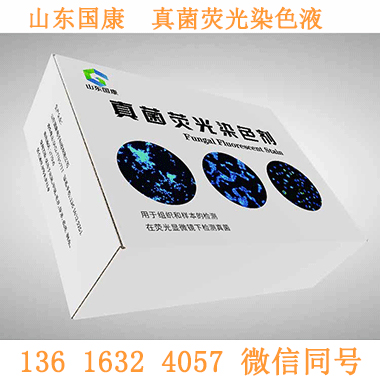 如何选购优质真菌荧光染色液试剂？选购要点汇总